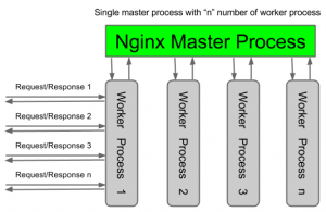 nginx-architecture