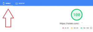 PageSpeed Insights - 100 score mobile