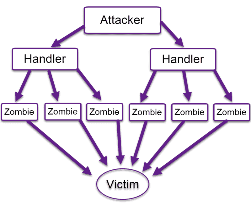 ssh brute force attacks