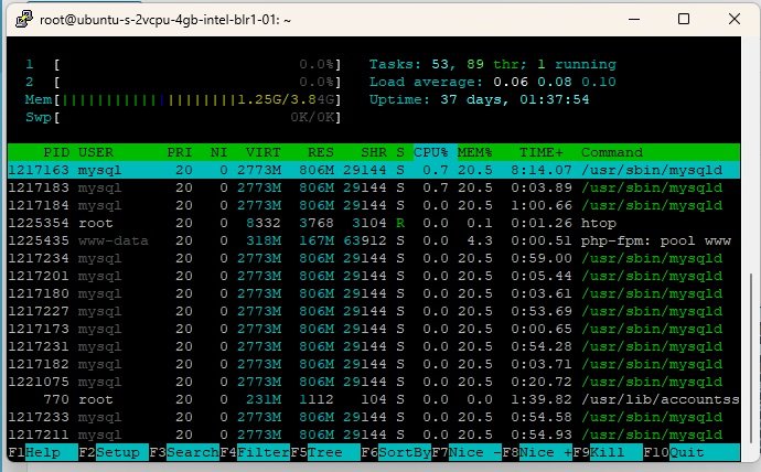 htop command